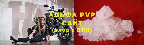 СК Гусев