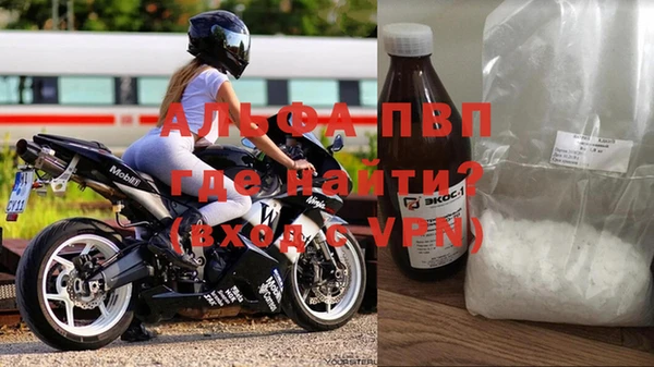 СК Гусев