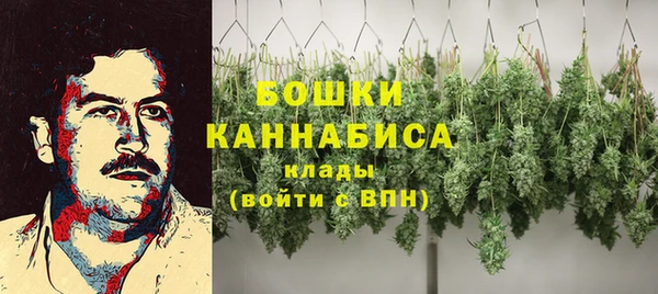 мяу мяу мука Гусь-Хрустальный