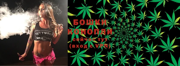 СК Гусев