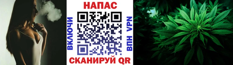 Купить  Чехов  Бошки марихуана Amnesia 